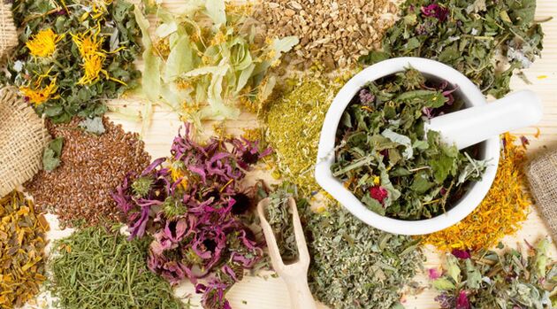 Rośliny lecznicze pomagające w walce z cukrzycą